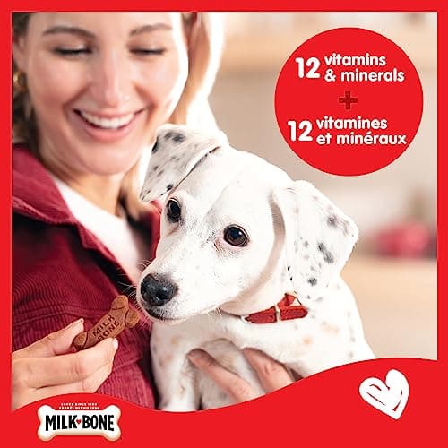 Milk-Bone Soft & Chewy Dog Treats, Tender Oven Baked Snacks Made with Tasty Wholesome Ingredients, Beef Steak Flavour, 708 g (Pack of 1)