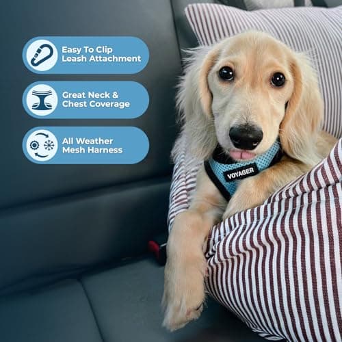 Best Pet Supplies Voyager All Weather No Pull Step-in Mesh Dog Harness with Padded Vest, Best Pet Supplies, Small, Baby Blue Base — view 2