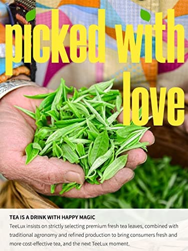 TeeLux Sencha Tea Bags, Premium Sencha Green Tea, Refreshing & Smooth Flavor, Iced & Hot Tea, 100 Count — view 3
