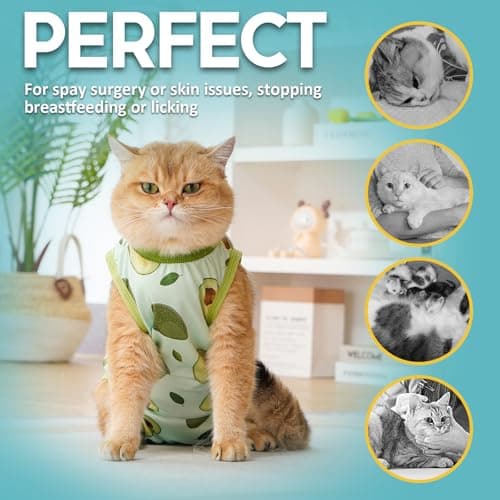 Avont Cat Recovery Suit - Kitten Onesie for Cats After Surgery, Cone of Shame Alternative Surgical Spay Suit for Female Cat, Post-Surgery or Skin Diseases Protection -Avocado(S) — view 4