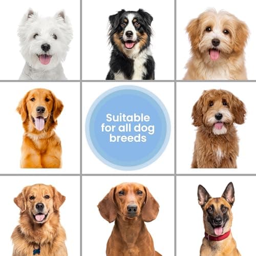Whitening Dog Shampoo | Made in USA | Brightening Dogs Fur | White & Bright Hair | Removes Stains & Discoloration [We Love Doodles] — view 5