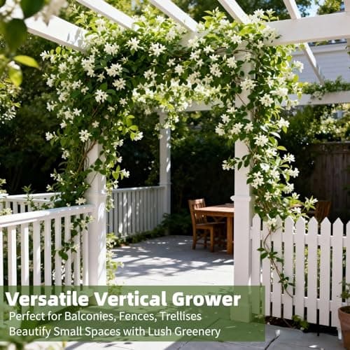 200+ Climbing Jasmine Flower Seeds for Planting, Easy to Grow, Non-GMO, High Germination Fragrant Flowers for Home Garden, Balcony, Trellis, Fence, Vertical Garden Decor, 200pcs