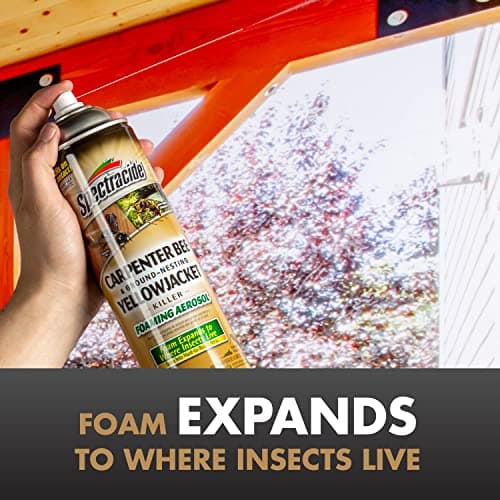 Spectracide Carpenter Bee And Ground-Nesting Yellowjacket Killer Foaming Aerosol 16 Ounces, Expands To Where Insects Live, Yellow — view 3