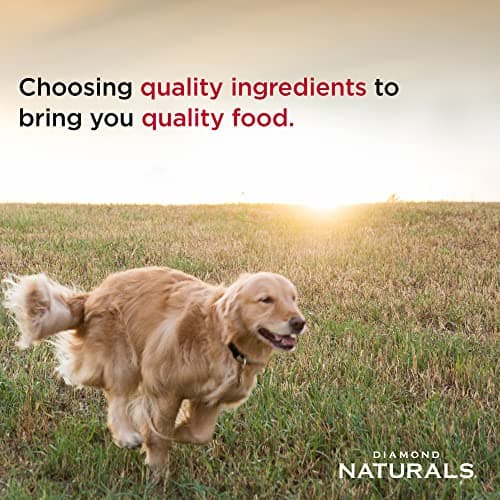 Diamond Naturals Adult Dry Dog Food Beef Meal and Rice Formula Made with Quality Pasture-Raised Beef Protein, Probiotics and Essential Nutrients — view 3