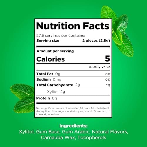 PUR Gum | Aspartame Free Chewing Gum | 100% Xylitol | Natural Spearmint Flavored Gum, 55 Pieces (Pack of 1) — view 2