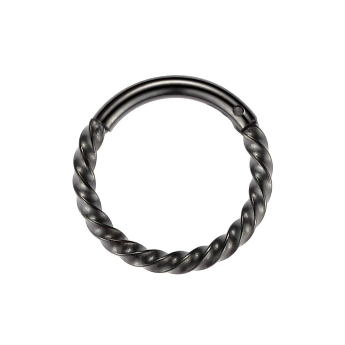 hengkaixuan 316L Surgical Steel Nose Hoop Ring Hinged Segment Clicker Ring Cartilage Helix Lip Tragus Conch Piercing Jewellery Sleeper Earrings Septum Lobe Hoop Earring for Women — view 4