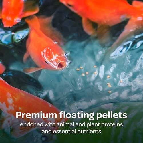 Kaytee Koi’s Choice Koi Floating Fish Food for Ponds, Goldfish and Freshwater Pond Fish Pellets, 10 pounds — view 2