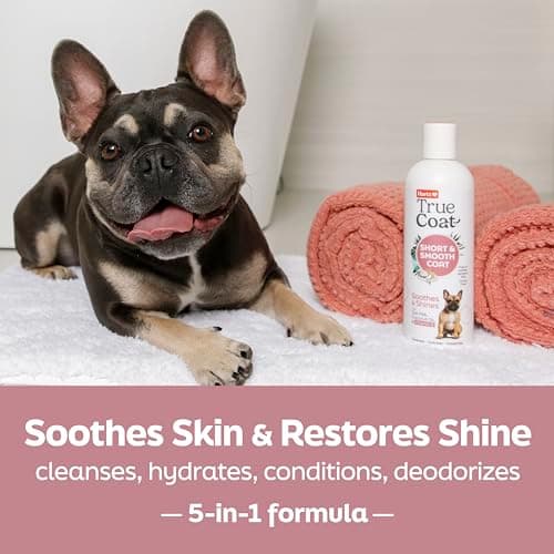 True Coat Short & Smooth Coat Dog Shampoo, 5 in 1 Soothes & Shines with Oat Milk, Coconut Oil & Vitamin E, 16 oz
