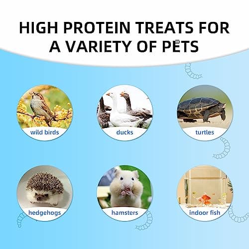 I LOVE WORMS Dried Black Soldier Fly Larvae (5lb), 100% Natural Non-GMO, Treat for Chickens, More Calcium Chicken Feed Than Mealworms — view 5