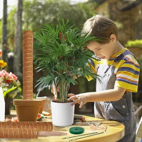 Moss Pole Monstera Plant Support, 5 Pack — view 3