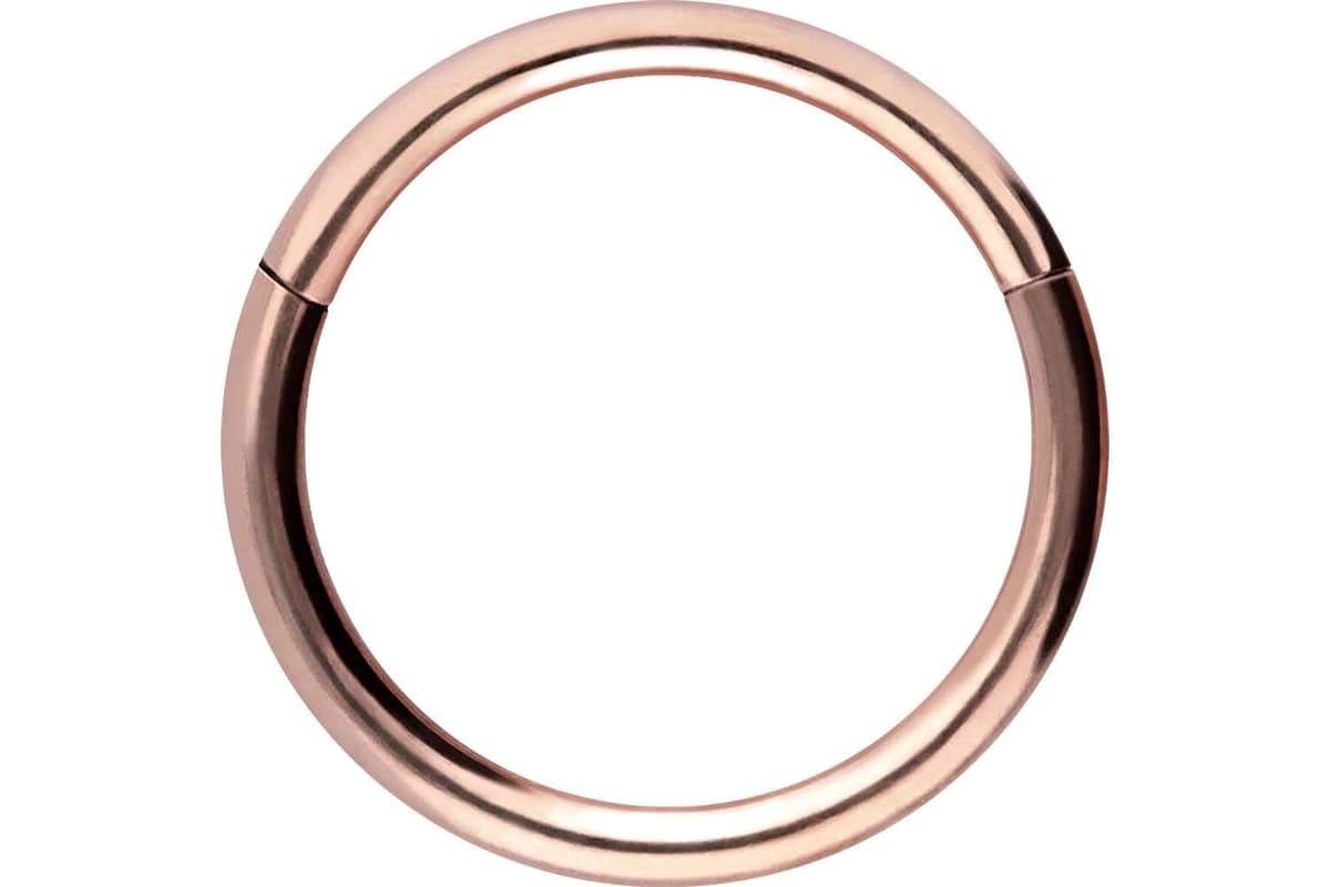 PIERCINGLINE Anillo segmento Clicker de acero quirúrgico – Piercing en oro, plata, rosa, negro o azul – para nariz, tabique, oreja, hélice o tragus — view 61
