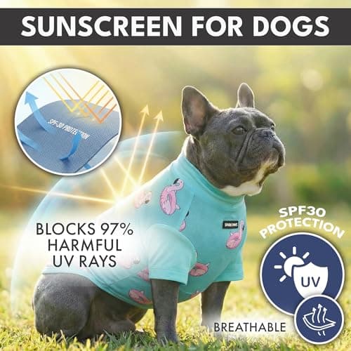 Spark Paws Sunblock Dog T-Shirt, SPF30 Protection, Lightweight Breathable Quick Dry for Dogs with Sensitive Skin - Bees & Flamingo (Set of 2) - Size 4XL