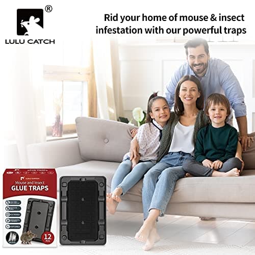 LULUCATCH Mouse & Insect Traps 12 Pack, Heavier Sticky Traps with Non-Toxic Glue for Small Mice & Insects. Sticky Mouse Traps Indoor for Home, Easy to Set — view 7