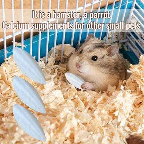 10Pcs Bird Cuttlebone Cuttlefish Bone, Bird Cage Food Cuttle Bone, Parakeet Chew Toy Calcium Stone Beak Exercise for Birds Parrots Cockatiels Budgie Snails Reptiles - 4-6cm — view 3