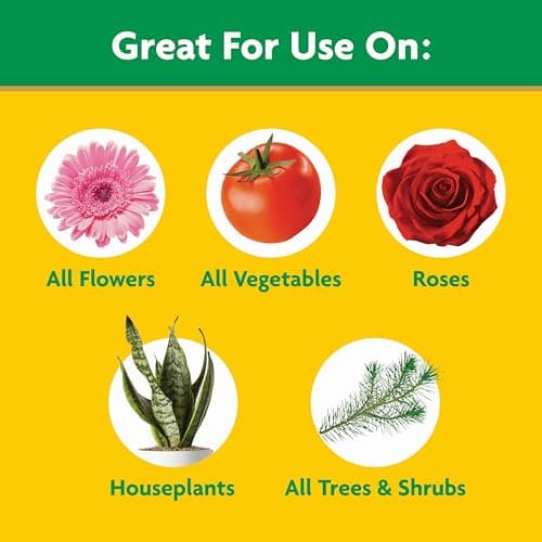 Miracle-Gro Water Soluble All Purpose Plant Food, 1.5 lbs. — view 3