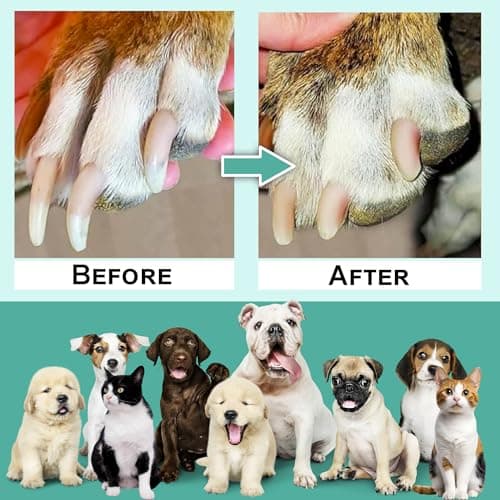 Dog Scratch Board for Nails with Treat Drawer 3 Extra Adhesive Sandpapers – Durable Wooden Dog Scratch Pad, Nail Filing Board, Bonus Nail Clipper & Swan File, Safe Alternative to Grinders & Clippers — view 5