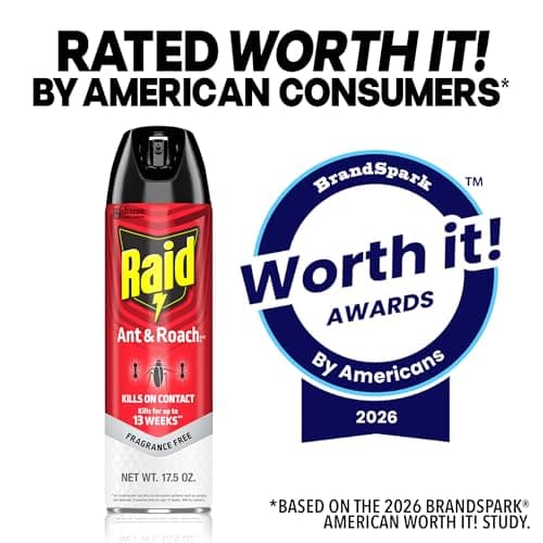 Raid Ant & Roach Killer 26, Fragrance Free Bug Killer for Home Use, Kills Bugs on Contact, Roach and Ant Spray, 17.5 Oz, 2 Count — view 7