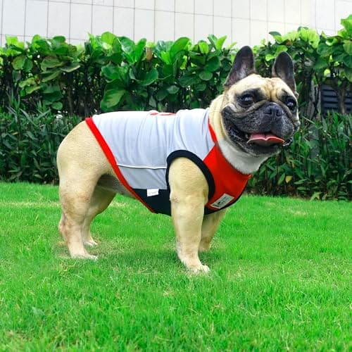 iChoue French Bulldog Summer Cooling Shirt for Dogs UV Sun Protection Vest Sleeveless Stretchy Tank Top English Pug Grey Red - Large — view 4