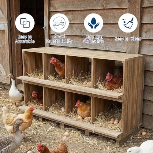 8-Hole Wood Chicken Nesting Box, Large Poultry Nesting Boxes with Perches & Baffles, Durable Wooden Nest Box for Hens, Ducks, Quails, Wall-Mount or Freestanding Coop Accessories for Backyard — view 3