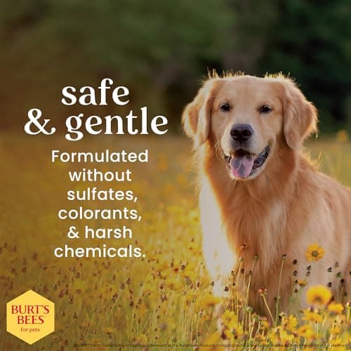 BURT'S BEES FOR PETS Deodorizing Spray for Dogs with Witch Hazel, Lemongrass & Sage, 99% Natural Origin Formula, Gentle Waterless Dry Dog Shampoo for All Dogs, 10 Fl Oz — view 4