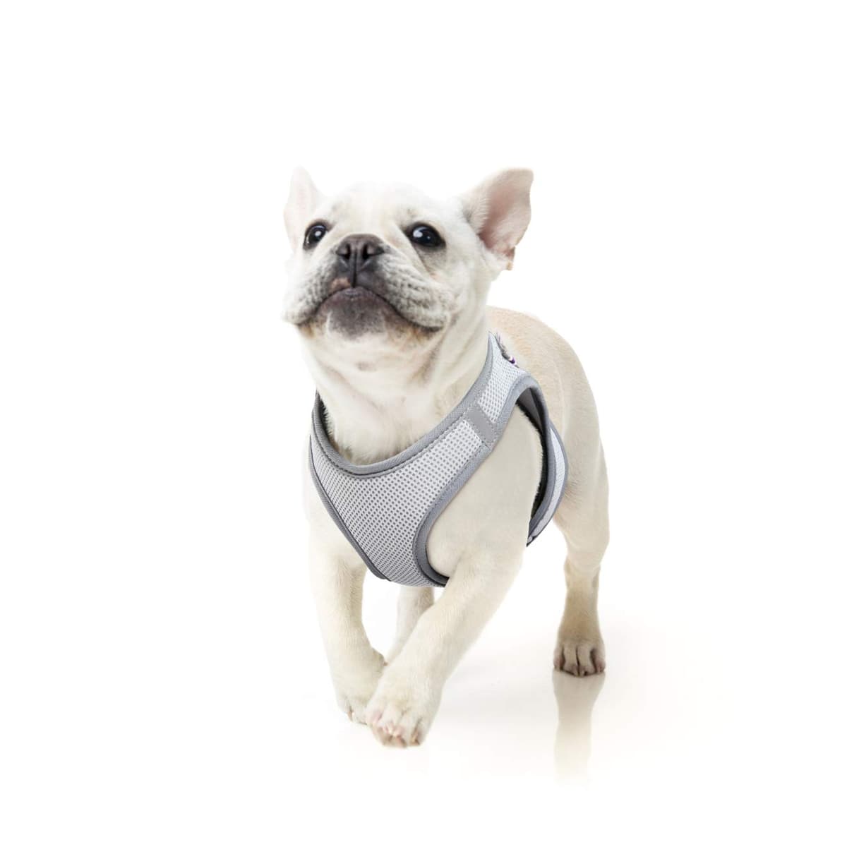 HEELE Arnes Perro Pequeño con Lineas Reflecantes Arnés Perro Antitirones Ajustable Suave Acolchado Cómodo para Viajar Pasear con Mascota, Flores Nanranja, S — view 64