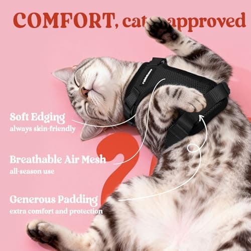 rabbitgoo Cat Harness and Leash for Walking, Escape Proof Soft Adjustable Vest Harnesses for Small Medium Cats, Easy Control Breathable Reflective Strips Jacket, XS, Black — view 3