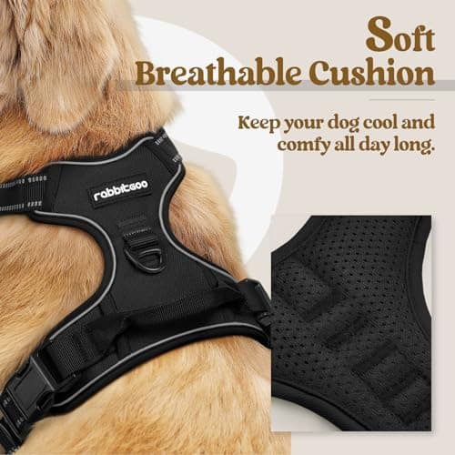 rabbitgoo Dog Harness, No-Pull Pet Harness with 2 Leash Clips, Adjustable Soft Padded Vest, Reflective No-Choke Pet Oxford Vest with Easy Control Handle for Large Dogs, Black, L — view 2