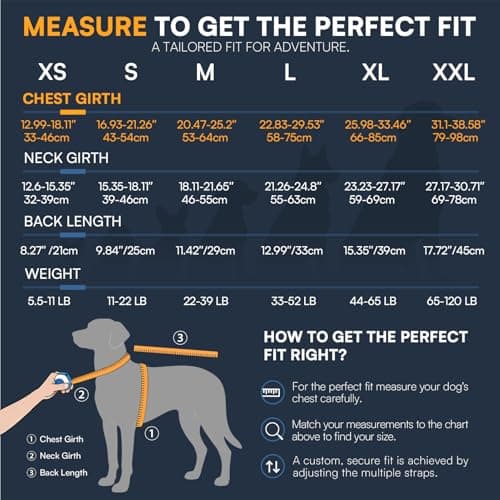 Queenmore Small Dog Life Jacket, Dog Life Vest for Swimming Boating, Puppy Swim Vest for Small Dogs, Ripstop High Visible Pet Water Vests with Strong Rescue Handle, Pink S — view 4