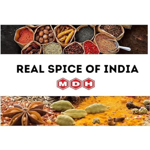 MDH AMCHUR POWDER Masala 100g/3.5 Oz — view 2