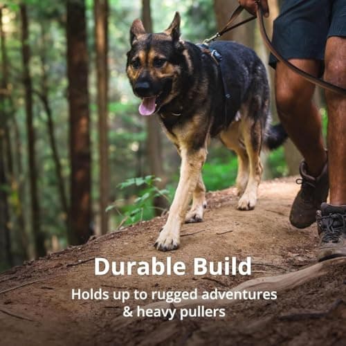 Ruffwear, Front Range Dog Harness, Reflective Soft Padded Everyday Harness with Dual Leash Clips, Adjustable and Lightweight Fit for Training or Walking for All Dogs, Coastal Mountains, Medium — view 7