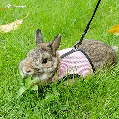 Niteangel Adjustable Soft Harness with Elastic Leash for Rabbits (Pink, Large) — view 5