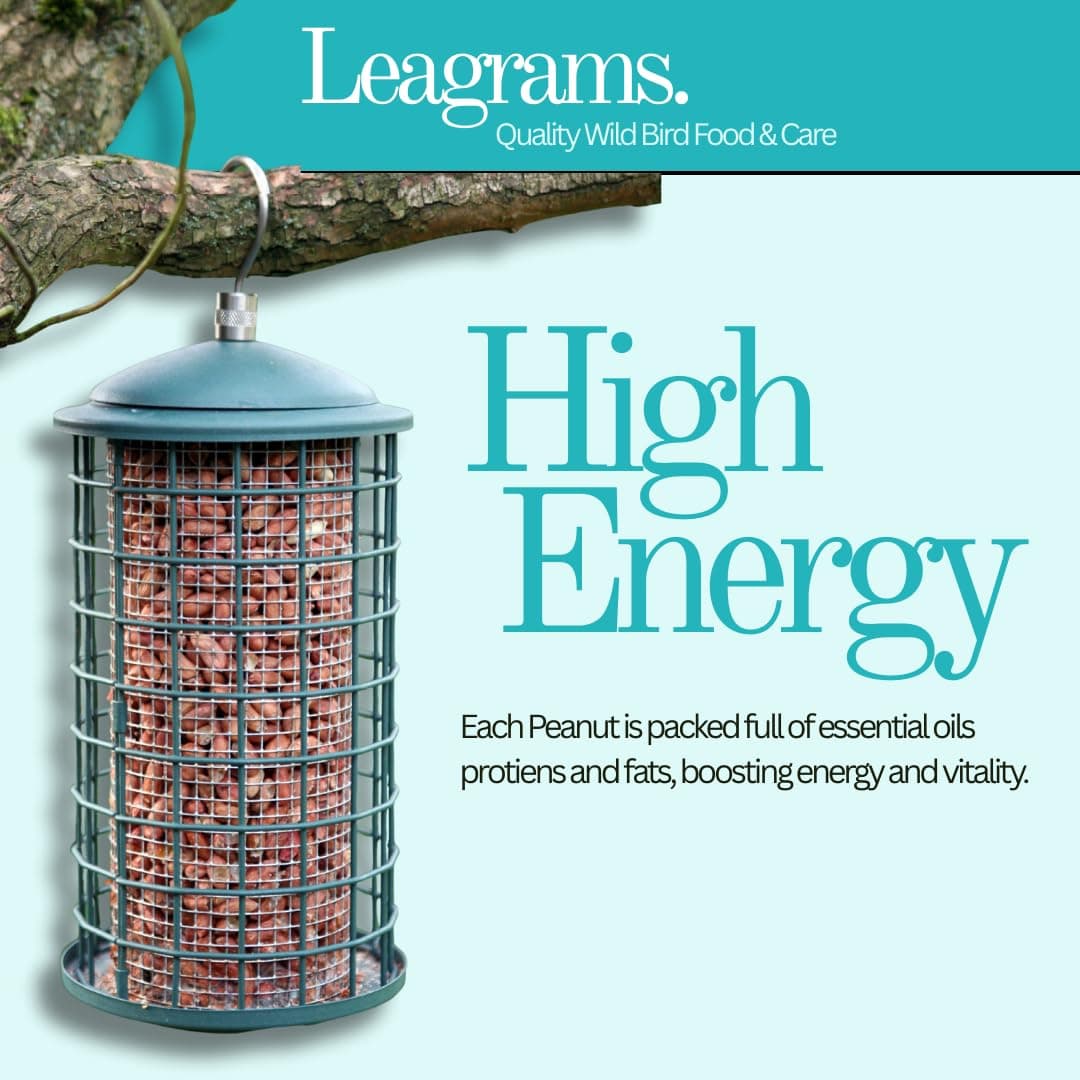 Leagrams Standard Peanuts for Wild Birds, Aflatoxin Tested, High-Energy Whole Peanuts for Garden Birds (12.55kg) Bag — view 3