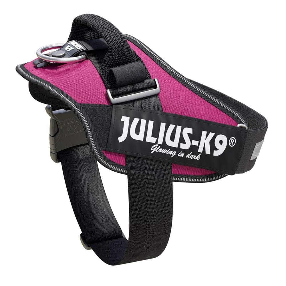Julius-K9, 16IDC-AM-M, IDC Powerharness, dog harness, Size: Mini, Aquamarine — view 377