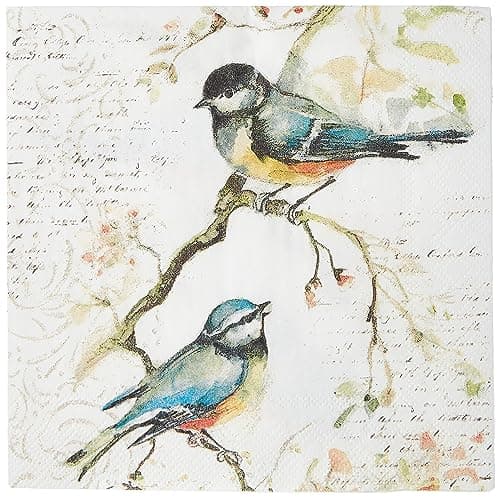 Boston International IHR Cocktail Beverage Paper Napkins, 20-Count, 5 x 5-Inches, Happy Little Titmice