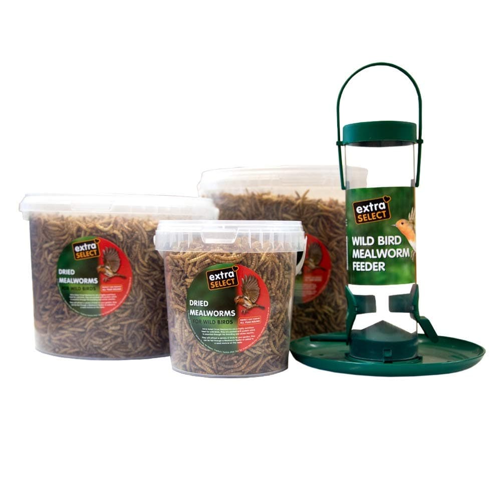 Extra Select Dried Mealworms for Wild Birds: Protein Rich Wild Bird Food for Robins and Wildlife - Meal Worms for Garden Birds - 500 ml — view 6