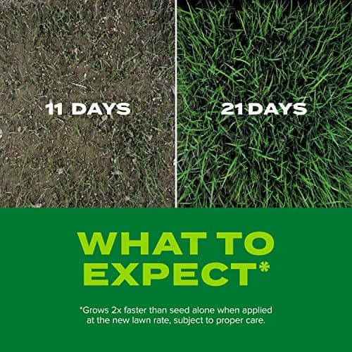 Scotts Turf Builder Rapid Grass Tall Fescue Mix, 5.6 lbs. — view 5