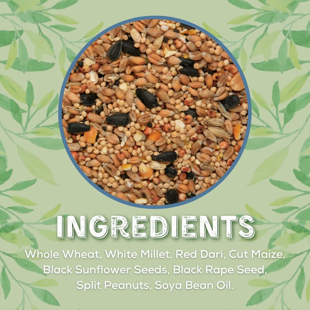 Copdock Mill Wild Bird Seed & Grain Mix 3.8 kg/5L Tub – All Year-Round High-Energy Wild Bird Food – 100% Natural Ingredients Including Sunflower Seeds and Peanuts — view 3