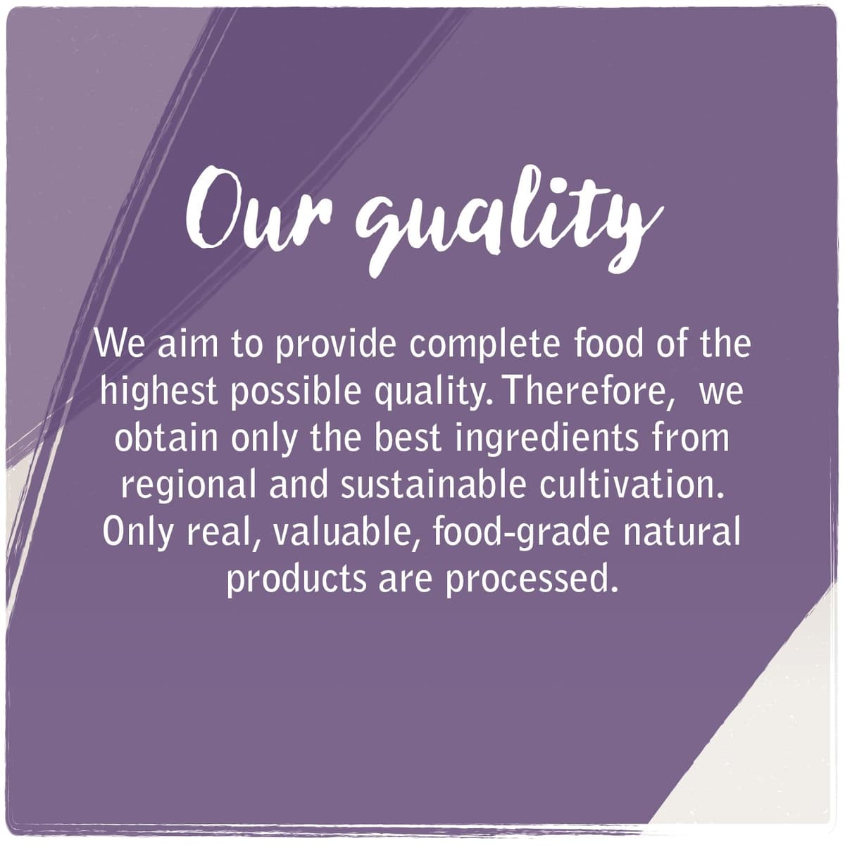 Venandi Animal Premium Cat Food, Horse as Monoprotein, Wet Food, Grain-Free and Natural, Pack of 6 (6 x 200 g) — view 2