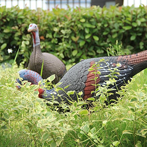TargetEvo Turkey Decoys for Hunting, 2 Pack Hen and Jake Combo Decoys with Stakes Carry Bag Collapsible Lightweight — view 4