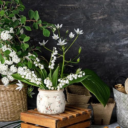 Ninehaoou Vintage Planter Large Ceramic Plants Pot Beige Red Rustic Floral Ice Crack Cottage Scroll Vase Flower Vase Pot Indoor Plants Home Kitchen Decor Farmhouse Antique Decorative Gifts — view 5