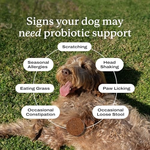 PetLab Co. Probiotics for Dogs, Support Gut Health, Occasional Diarrhea, Digestive Health & Seasonal Allergies - Salmon Flavor - Packaging May Vary - 30 Soft Chews — view 4
