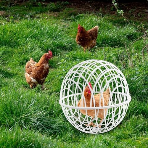 3PCS Ball Shaped Movable Chicken Coop Chicken Balls, Movable Chickens Ball Cage Coop Balls, Poultry Care Supplies, Small Animal House Habitat, for PigeonRabbit Duck Vegetable Protection