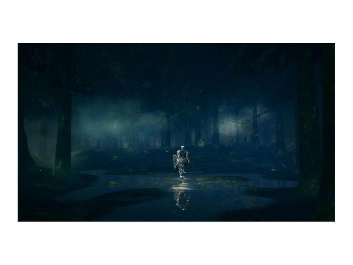 Dark Souls Trilogy (PS4) — view 5