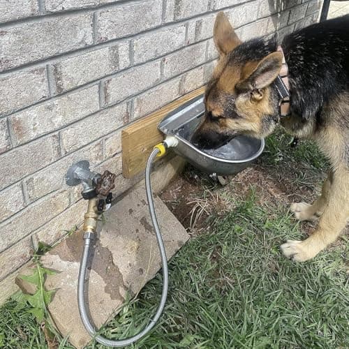 304 Stainless Steel Automatic Livestock Drinking Bowl with Float Valve and Water Hose — view 3