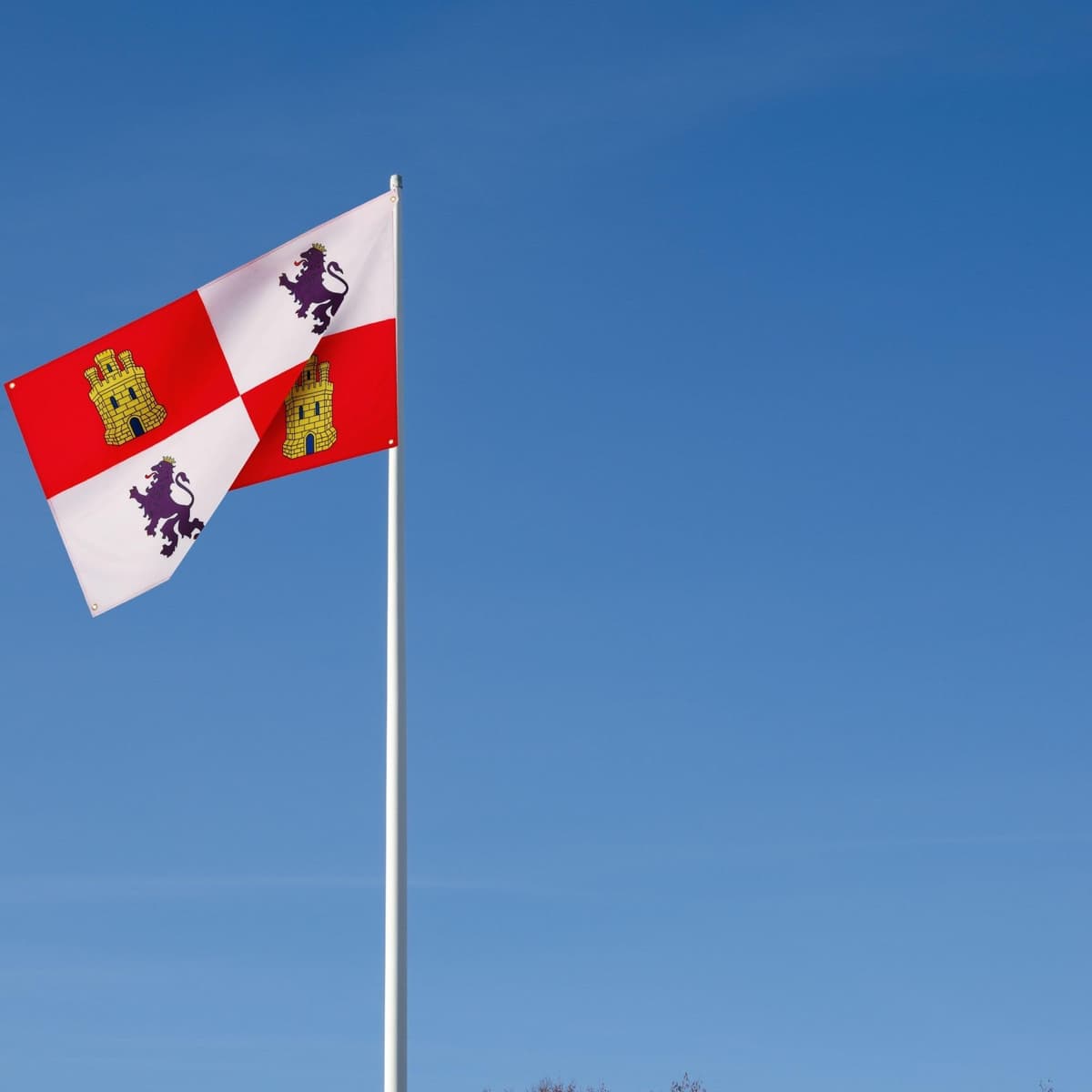 Runesol Cornwall Flag - 91x152cm, 3ft x 5ft, Cornish Flag, 4 Grommets, Eyelet in Every Corner, Premium Quality, Inside & Outside Use, Vivid Colours — view 943