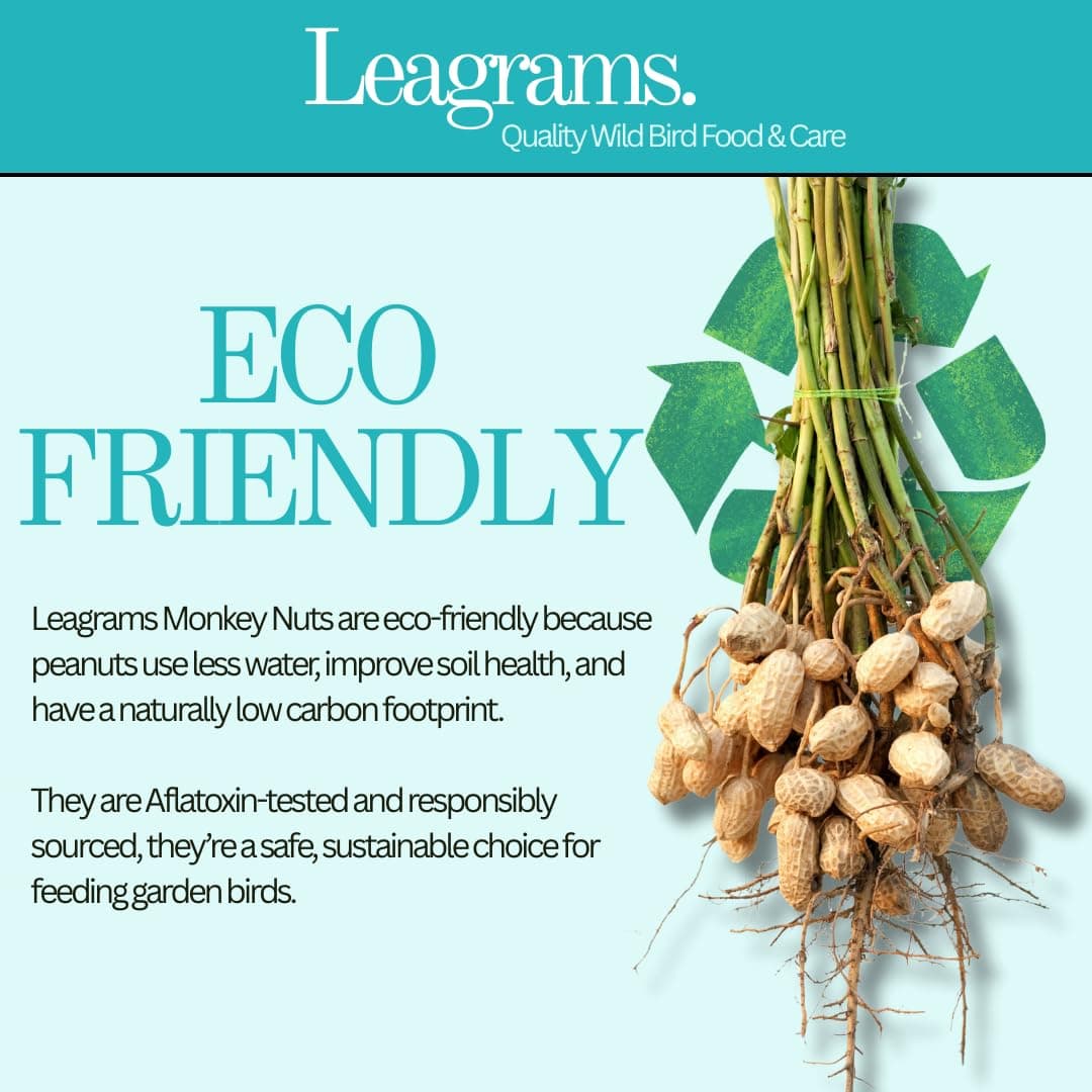 Leagrams Standard Peanuts for Wild Birds, Aflatoxin Tested, High-Energy Whole Peanuts for Garden Birds (12.55kg) Bag — view 4