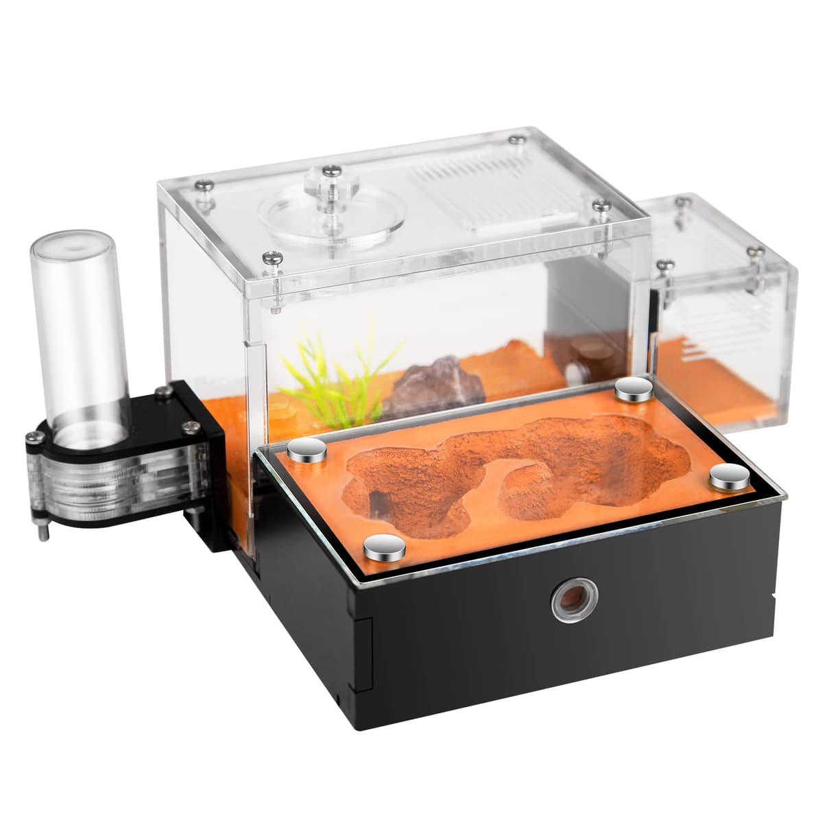 Formicarium - Ant Farm Habitat for Live Ants & Queen, Adult Educational Kit for Ant Behavior Study and Learning, Ant Nest