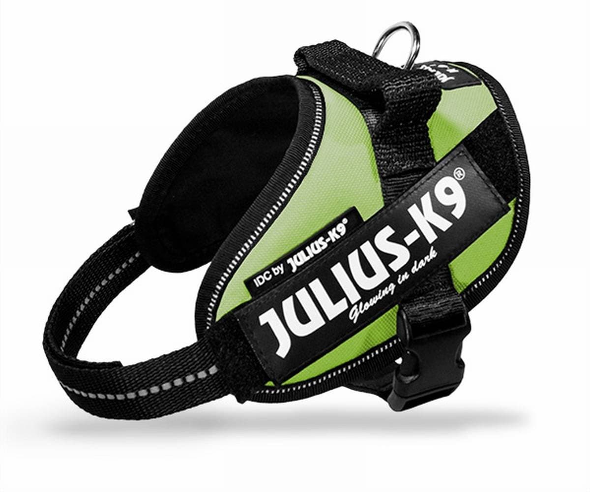 Julius-K9, 16IDC-AM-M, IDC Powerharness, dog harness, Size: Mini, Aquamarine — view 141