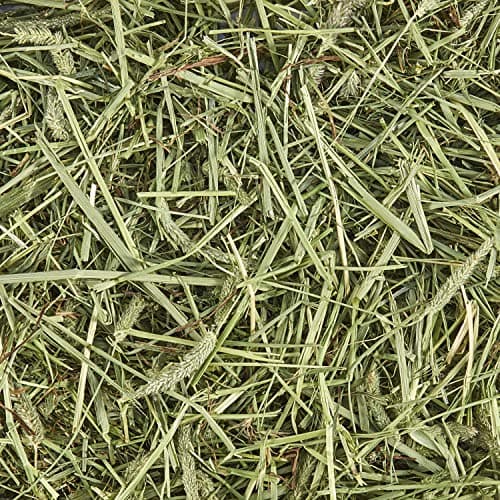 Kaytee Timothy Hay, 48-oz Bag — view 9