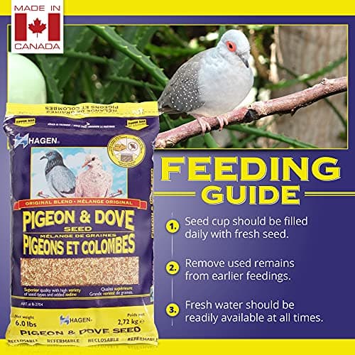 Hagen Pigeon and Dove Staple VME Seeds, 6-Pounds — view 4